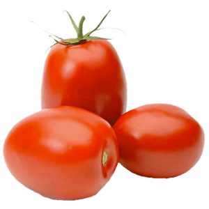 Tomate Italiano