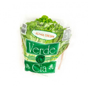 Alface Crespa Verde&Cia