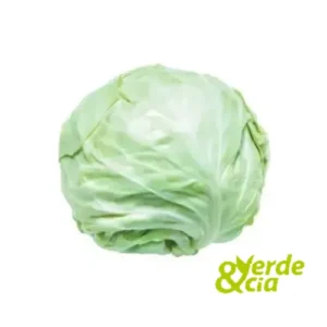 Repolho Liso Verde&Cia