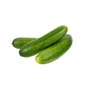Pepino Comum